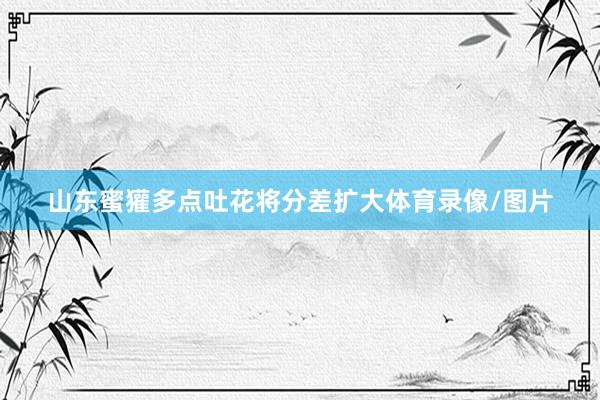 山东蜜獾多点吐花将分差扩大体育录像/图片