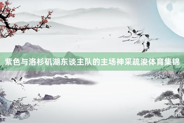 紫色与洛杉矶湖东谈主队的主场神采疏浚体育集锦