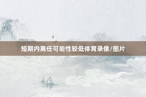 短期内离任可能性较低体育录像/图片