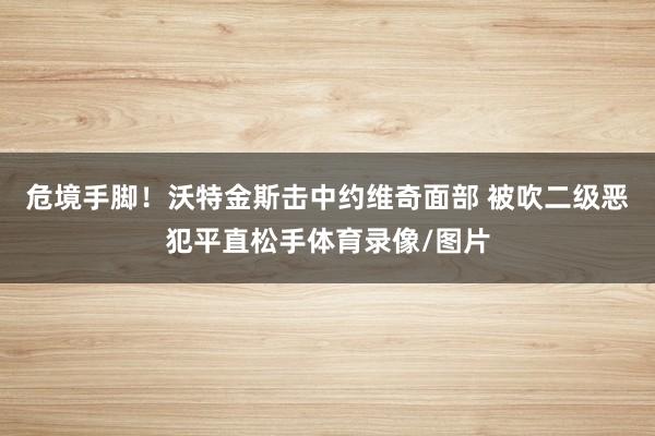 危境手脚！沃特金斯击中约维奇面部 被吹二级恶犯平直松手体育录像/图片
