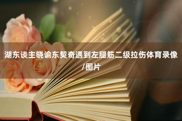 湖东谈主晓谕东契奇遇到左腿筋二级拉伤体育录像/图片