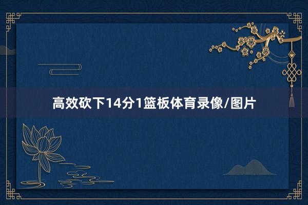 高效砍下14分1篮板体育录像/图片