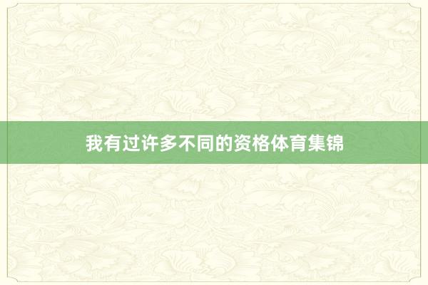我有过许多不同的资格体育集锦