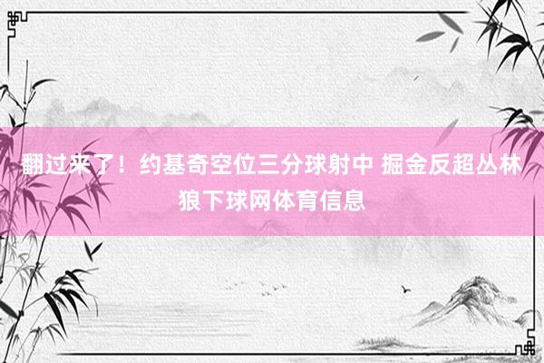 翻过来了！约基奇空位三分球射中 掘金反超丛林狼下球网体育信息