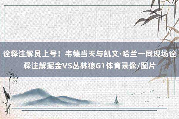诠释注解员上号！韦德当天与凯文·哈兰一同现场诠释注解掘金VS丛林狼G1体育录像/图片