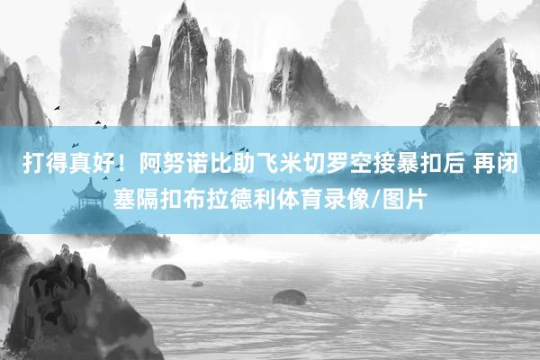 打得真好！阿努诺比助飞米切罗空接暴扣后 再闭塞隔扣布拉德利体育录像/图片
