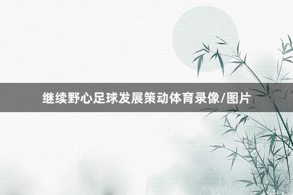 继续野心足球发展策动体育录像/图片