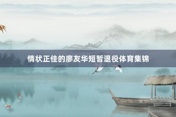 情状正佳的廖友华短暂退役体育集锦