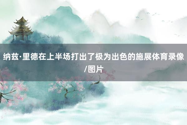 纳兹·里德在上半场打出了极为出色的施展体育录像/图片