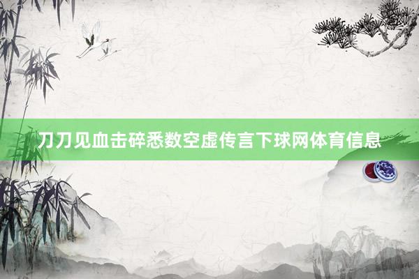 刀刀见血击碎悉数空虚传言下球网体育信息