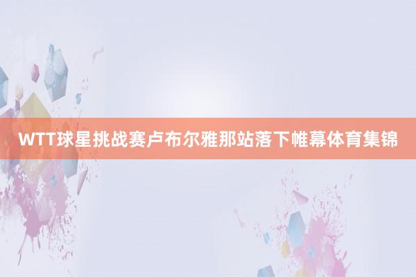 WTT球星挑战赛卢布尔雅那站落下帷幕体育集锦