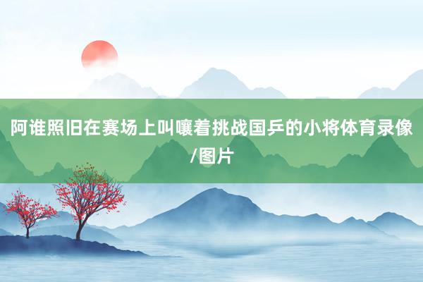 阿谁照旧在赛场上叫嚷着挑战国乒的小将体育录像/图片